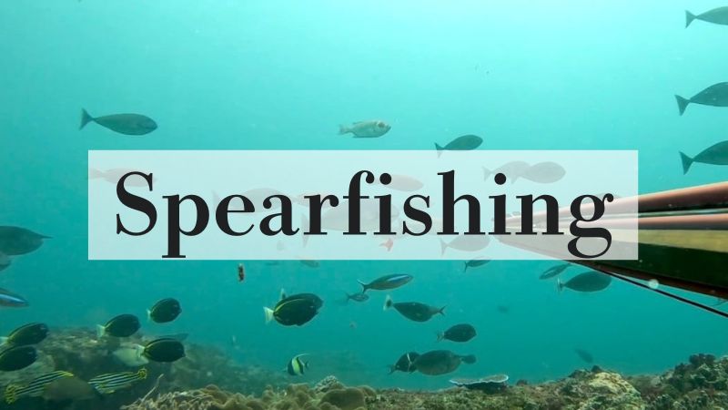 balispearfishing